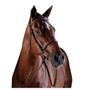 Collegiate CC Fancy Raised Cavesson