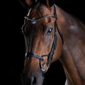 Collegiate® ComFiTec™ Crystal Bridle