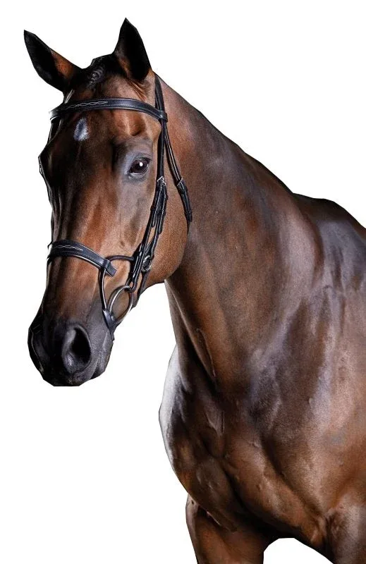 Collegiate ComFiTec Fancy Stitch Bridle