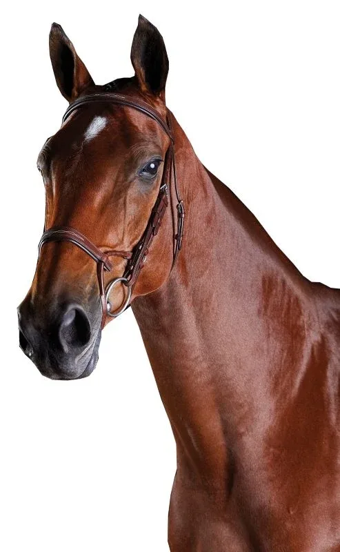 Collegiate ComFiTec Fancy Stitch Bridle - Image 2