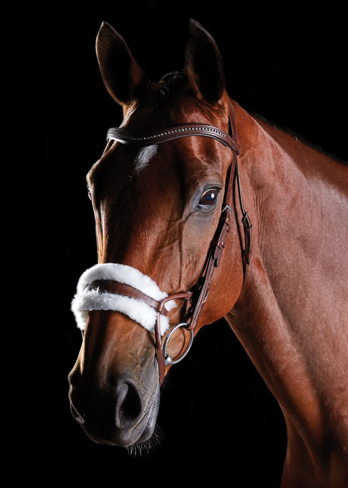 Collegiate® ComFiTec™ Sheepskin Bridle