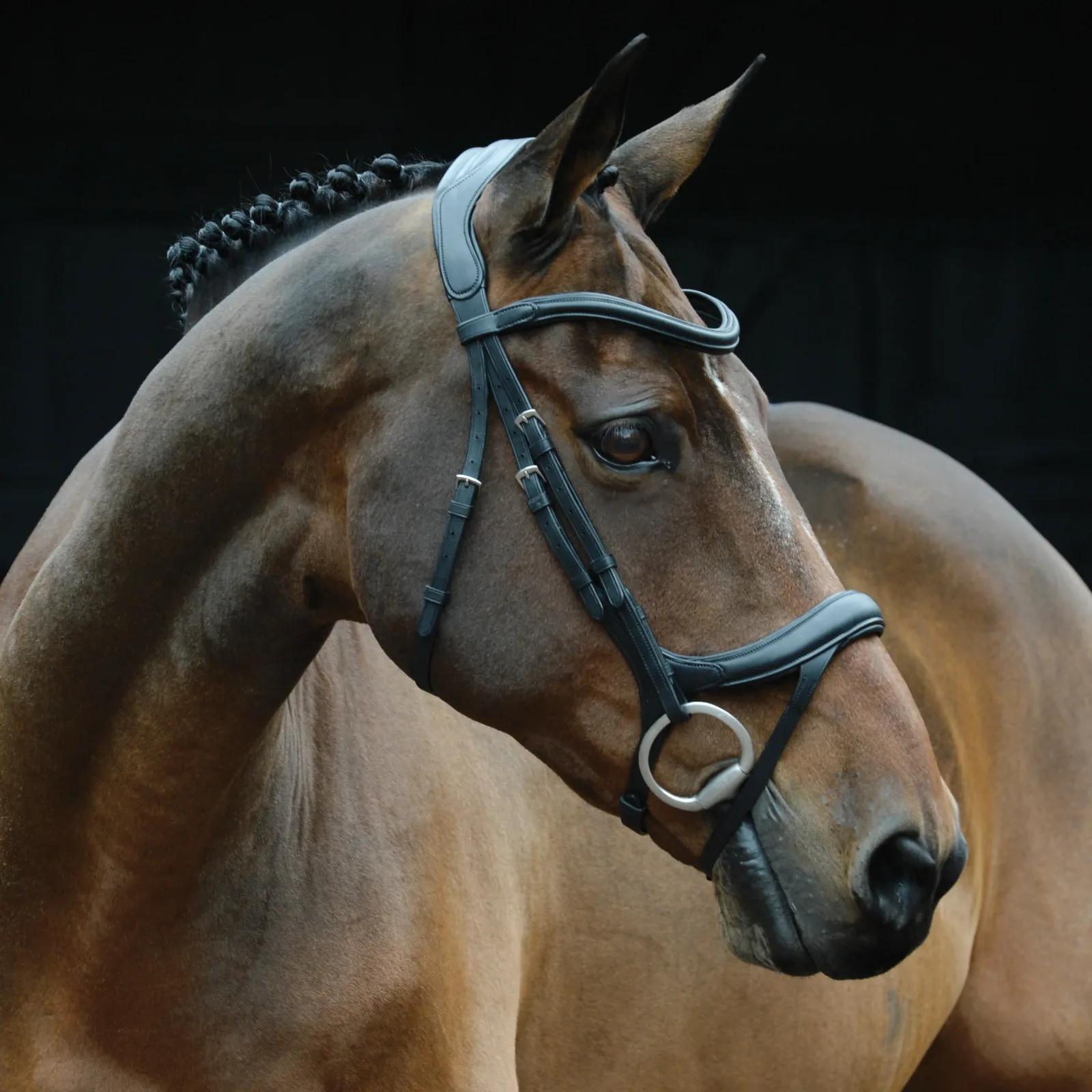 Collegiate® ComFiTec™ Vogue Anatomic Bridle - Image 2