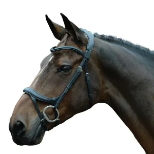 Collegiate Comfitec Vogue Bridle