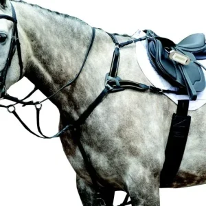 Collegiate Essential 5pt Breastplate
