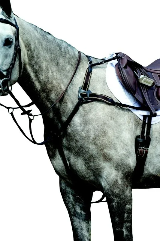 Collegiate Essential 5pt Breastplate - Image 2