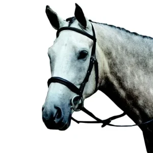 Collegiate Essential Cavesson Bridle