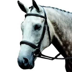 Collegiate Essential Fancy Cavesson Bridle