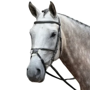 Collegiate Essential Fancy Figure 8 Bridle