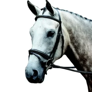 Collegiate Essential Fancy Flash Bridle