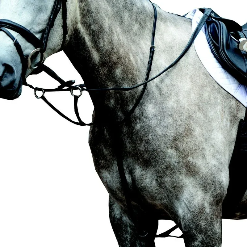 Collegiate Essential Flat Martingale