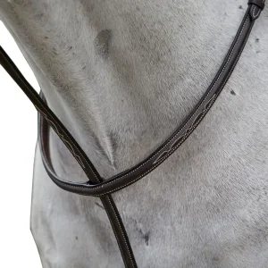Collegiate Fancy Standing Martingale