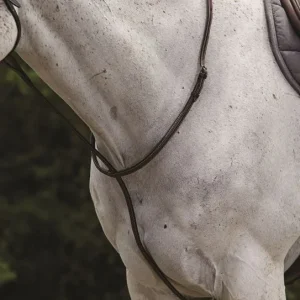 Collegiate Raised Standing Martingale