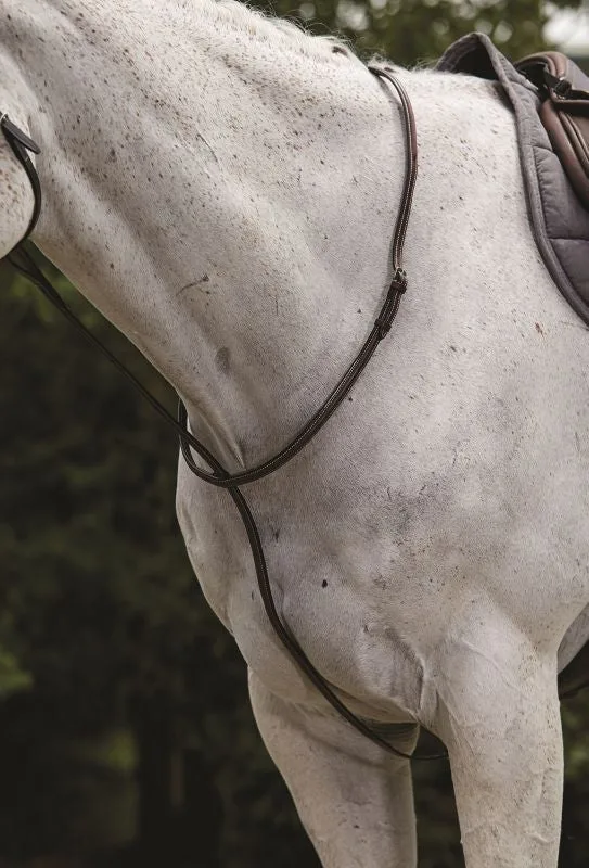 Collegiate Raised Standing Martingale