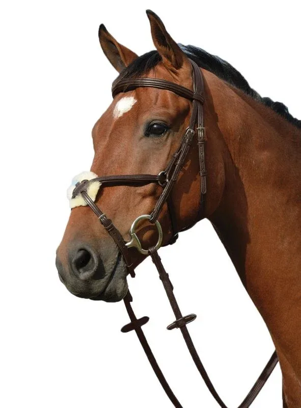 Collegiate Syntovia Figure 8 Bridle - Image 2