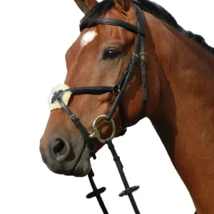 Collegiate Syntovia Figure 8 Bridle