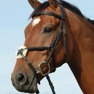 Collegiate® Syntovia+ Padded Raised Figure-8 Bridle