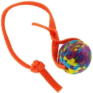 Color Splash EVA Foam Ball with Biothane Handle