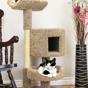 Compact Cat Condo | Solid Wood Cat Tree with Cave & Hammock