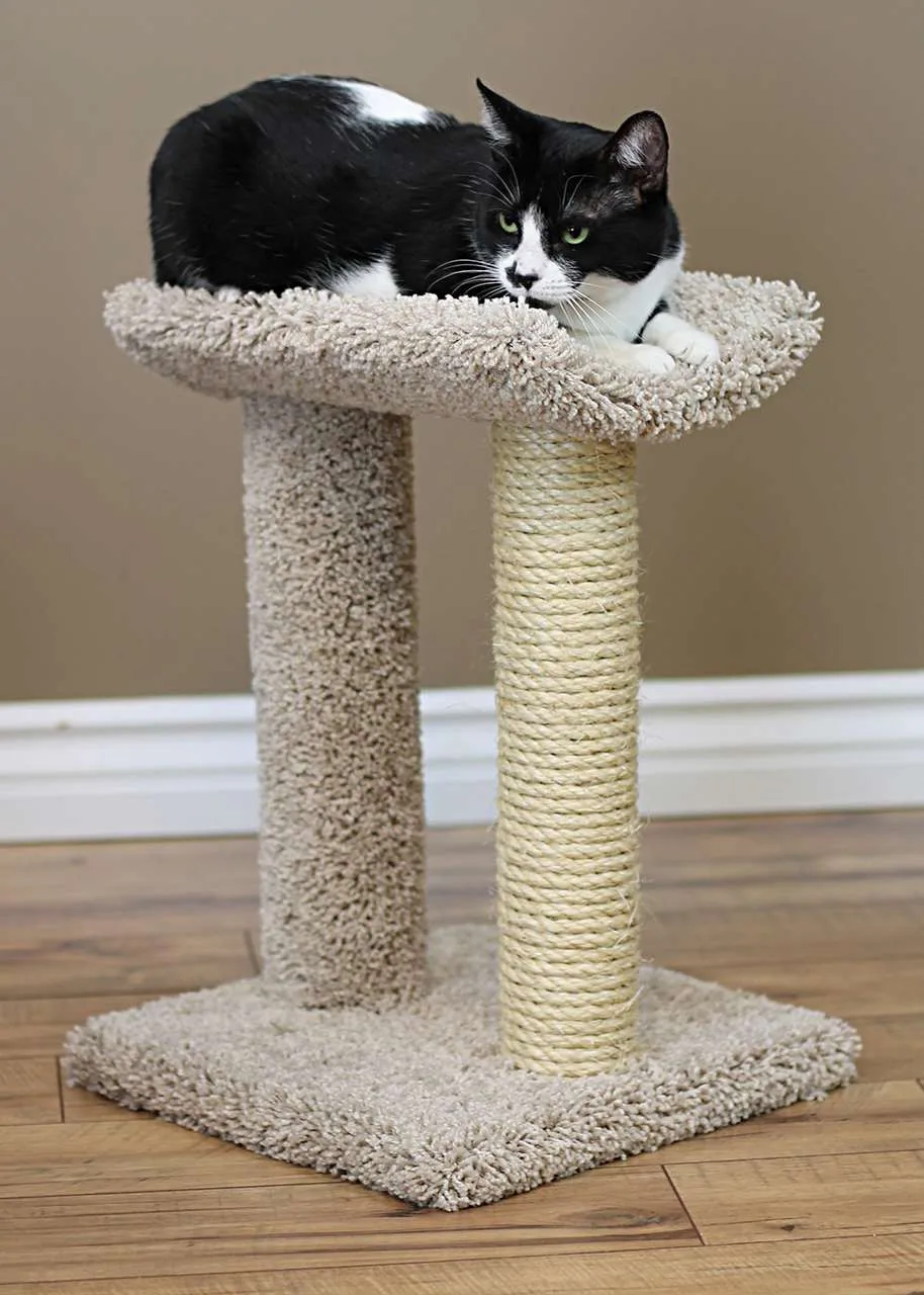 Compact Sisal Rope Cat Scratching Post with Perch | Solid Wood USA Made