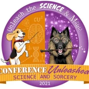 Conference Unleashed 2021