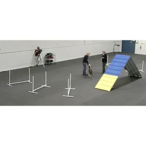 Contact Grids for Better Footwork & Safe Approaches