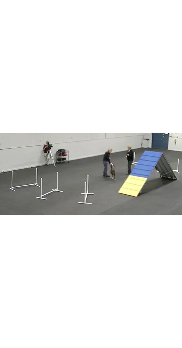 Contact Grids for Better Footwork & Safe Approaches
