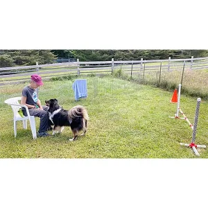 Control Unleashed® - Practical Ideas for Managing Arousal or Reactivity around Agility