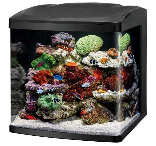 Coralife LED Biocube Marine or Freshwater Aquarium Kit 32 SD-3 - Image 2