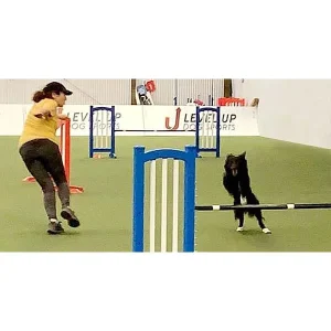 Countermotion Commitment: Small Space Games for Big Commitment Skills
