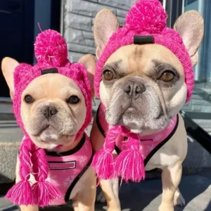 Cozy Pom-Pom Beanie - Winter Knit Hat for Dogs & Cats