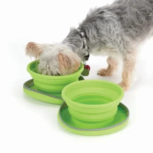 CR Collapsible Travel Diner 23 oz