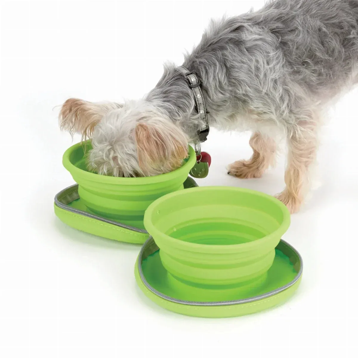 CR Collapsible Travel Diner 23 oz