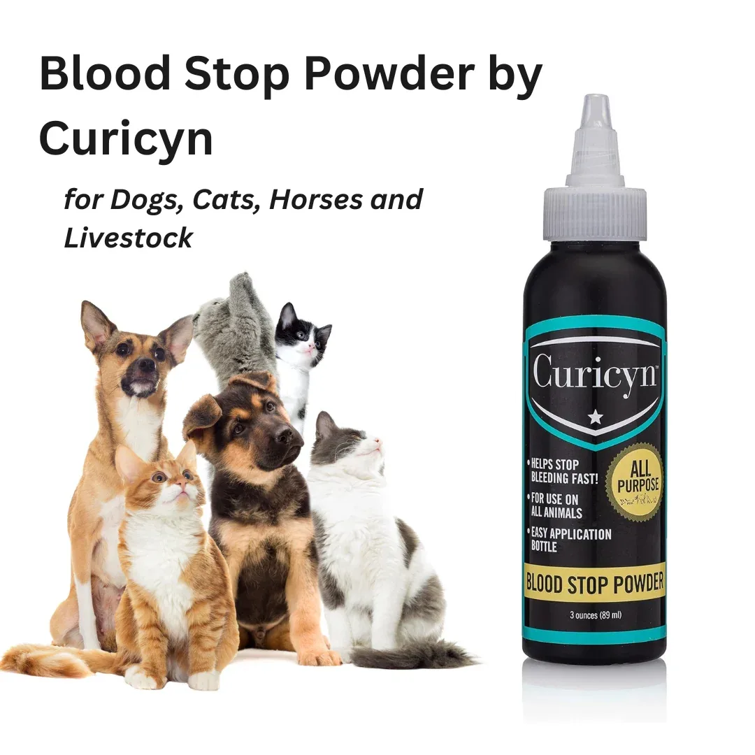 Curicyn Blood Stop Powder - Image 2