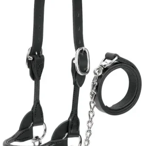 Dairy Beef Rounded Show Halter