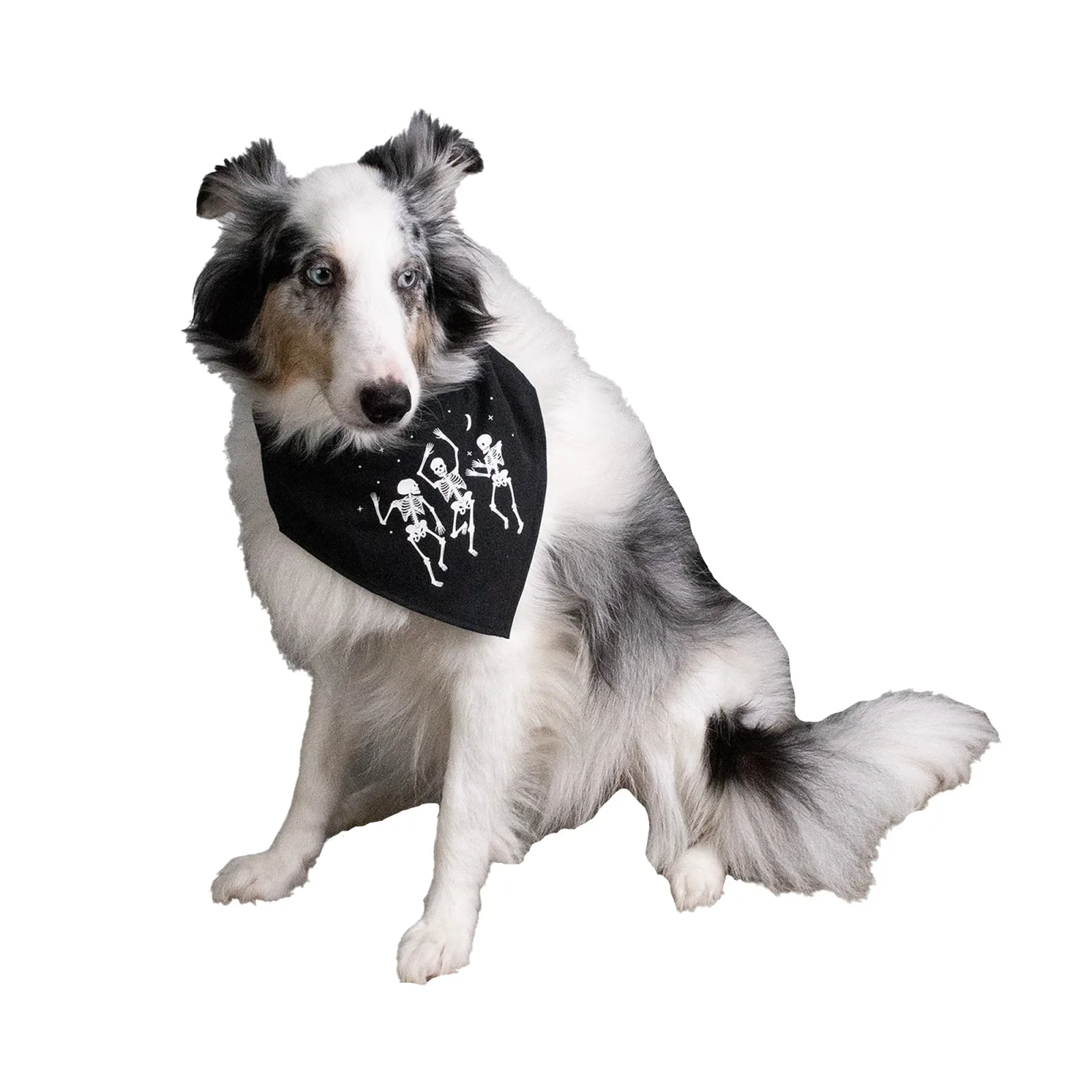 Dancing Skeletons Pet Bandana Halloween 2pk - Image 2