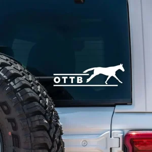 Dapplebay OTTB Vinyl Decal