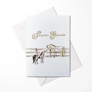 Dapplebay Season's Greetings Cards