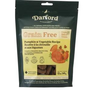Darford Grain Free Pumpkin Recipe Biscuits Regular Pumpkin 12 oz