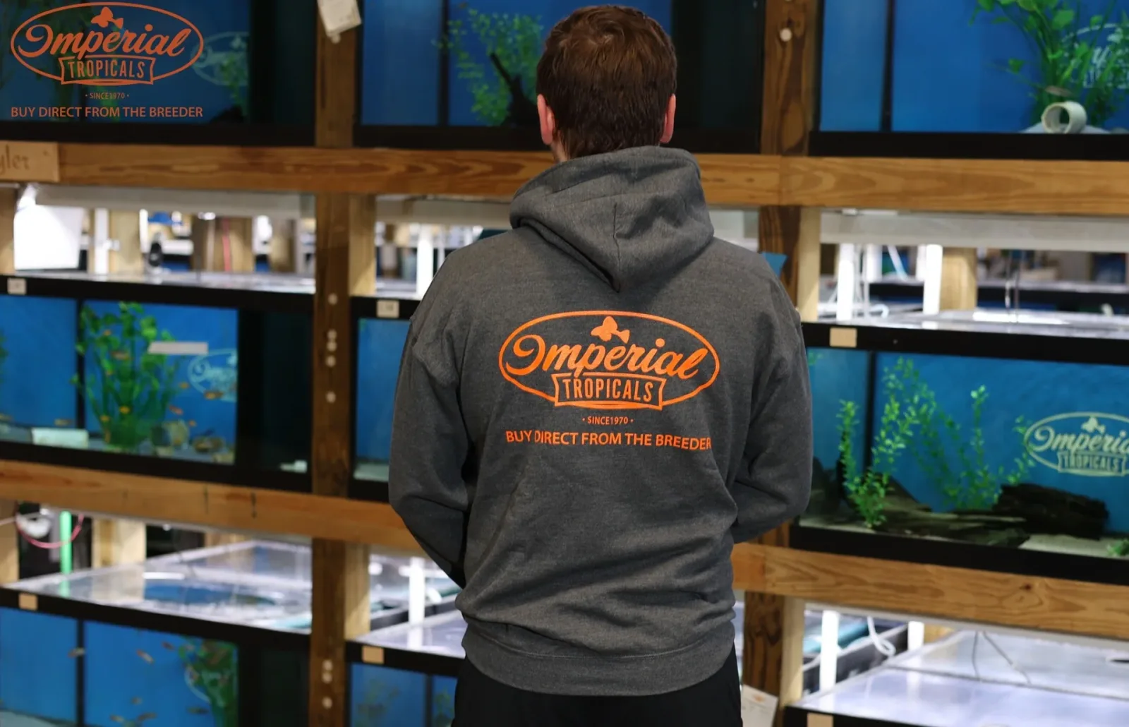 Dark Heather Grey Imperial Tropicals Hoodie - Image 2
