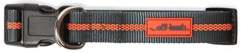 Dexas Off-Leash Collar Medium