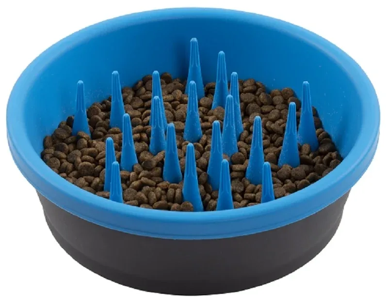 Dexas Slow Feeder Dark Grey/Pro Blue