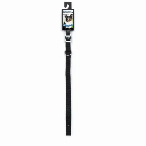 DGR 1/2 in Nylon Dog Collar, 12 in Black