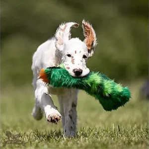 Doggie