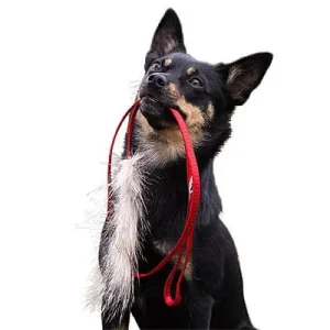 Doggie-Zen Badger Chaser Tug