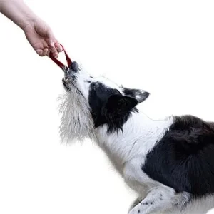 Doggie-Zen Badger Pocket Tug, DZ