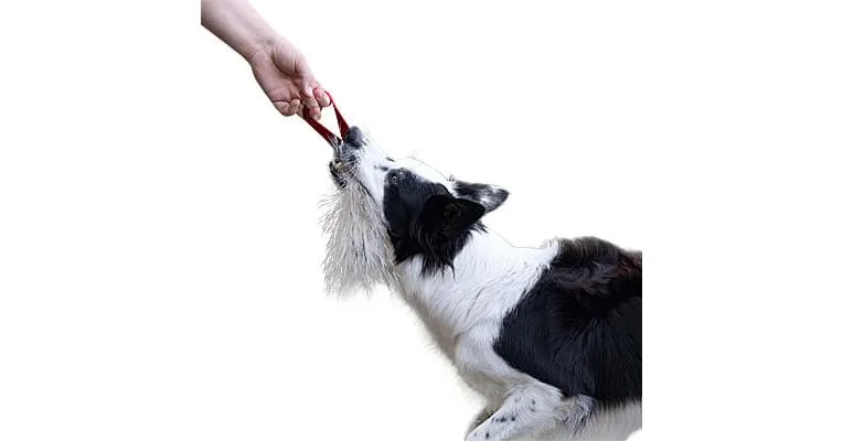 Doggie-Zen Badger Pocket Tug, DZ