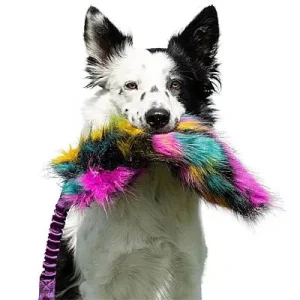 Doggie-Zen Bungee Crinkle Tug, DZ