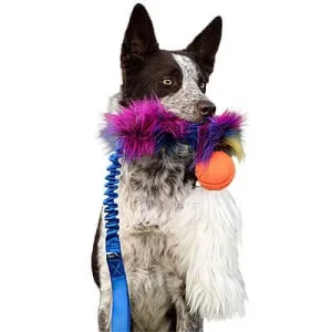 Doggie-Zen Bungee Faux Fur Tug with Medium Chuckit Ball & Sheepskin, DZ
