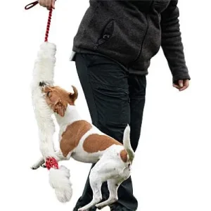Doggie-Zen Bungee Hol-ee Comet Sheepskin Chaser, DZ