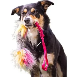 Doggie-Zen Bungee Rabbit Squeaker Tug, DZ